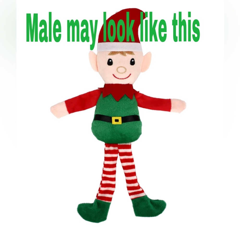 Customized Christmas Holiday elf stocking stuffer - Picture 3 of 3